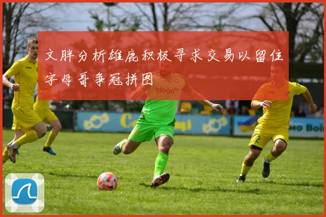 文胖分析雄鹿积极寻求交易以留住字母哥争冠拼图